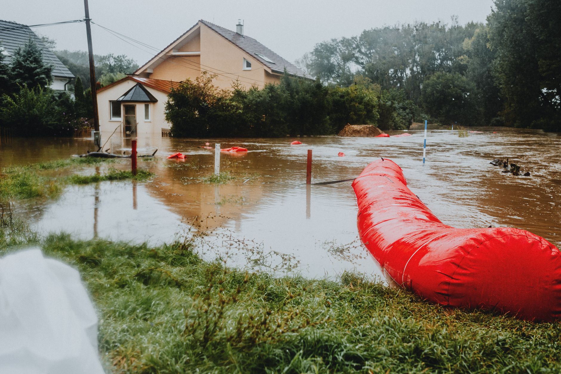 réparation dégât des eaux Vienne